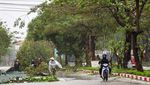 Topan Bualoi Terjang Vietnam, Pohon Tumbang di Nghe An