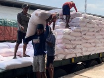 Alokasi Pupuk Subsidi untuk Petani Mojokerto Tahun 2025 Hanya 64,92%