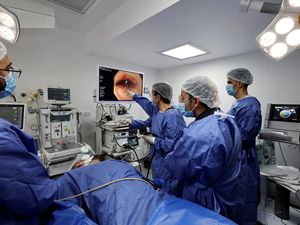 Inovasi Endoskopi Minim Invasif dari Mesir Bantu Atasi Akalasia Berat
