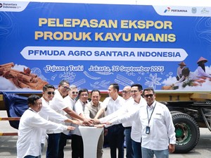 Dari Desa, Pemuda Kerinci Ini Terbangkan 10 Ton Kayu Manis ke Turki