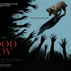 Cara Sutradara Good Boy Menyulap Anjing Peliharaannya Jadi Bintang Film Horor