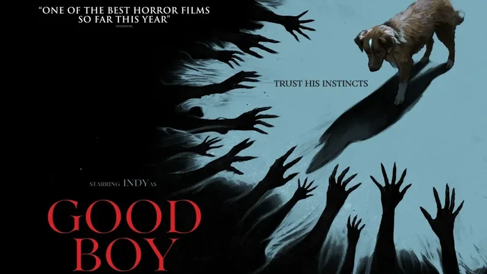 Good Boy Cuplikan adegan dalam film horor Good Boy.