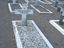 Profil Kolonel Sugiyono, Pahlawan Revolusi Korban G30S/PKI Asal Gunungkidul