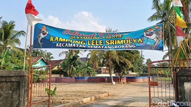 Kampung Ikan Lele Srimulya di Sematang Borang