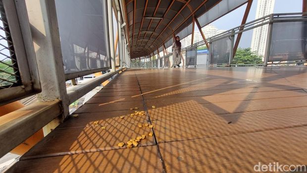 Kotoran kucing bertebaran di Skywalk Kebayoran Lama. Warga merasa risi dan terganggu lintasi jembatan penghubung Halte Velbak dan Stasiun Kebayoran Lama itu. (Taufiq S/detikcom)