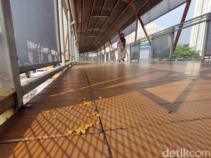 Banyak Kotoran Kucing di Skywalk Kebayoran, PSI Usul Lokasi Makan Khusus