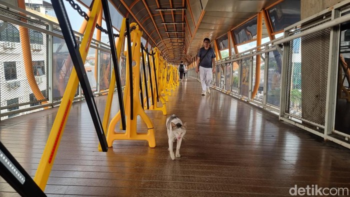 Kotoran kucing bertebaran di Skywalk Kebayoran Lama. Warga merasa risi dan terganggu lintasi jembatan penghubung Halte Velbak dan Stasiun Kebayoran Lama itu. (Taufiq S/detikcom)