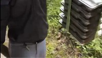 Banyak video di TikTok yang membahas ‘MBG Core’ atau serba-serbi murid hingga guru saat menerima program makan gratis ini. Foto: TikTok