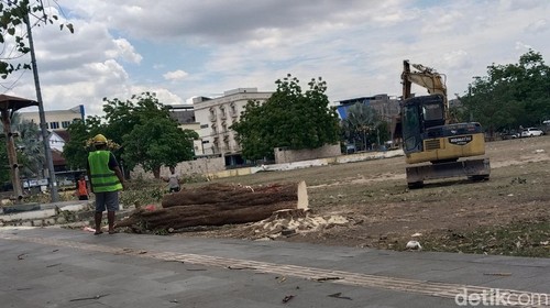 Pohon di lapangan Sera Suba yang ditebang demi proyek alun-alun senilai Rp 4 miliar, Senin (29/9/2025). (Dok. Rafiin/detikBali)