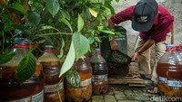  Rata-rata tabungan warga bisa mencapai ratusan ribu rupiah, dan kerap dimanfaatkan untuk kebutuhan rumah tangga hingga biaya pendidikan.