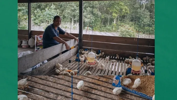 Rimba Raya Conservation