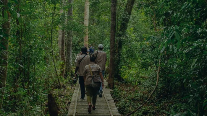 Rimba Raya Conservation