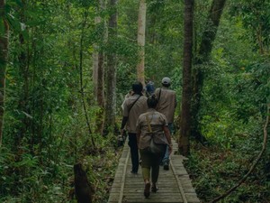 Mengenal Rimba Raya, Proyek REDD+ Pertama di Dunia Tervalidasi 17 SDGs