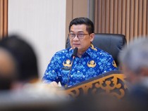 Target Ketahanan Pangan Mandiri di Riau, APBN-Swasta Jadi Solusi