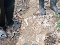 Hilang di Hutan Samarinda, Ritual Pencarian Agung Bakal Dilakukan