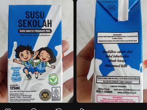 Viral Susu MBG Kebanyakan Air, Pakar IPB: Susu Sapi Segar Kandungan Utamanya juga Air