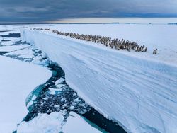 Foto Menakjubkan Kontes Foto Satwa Liar