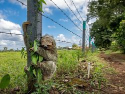 Foto Menakjubkan Kontes Foto Satwa Liar