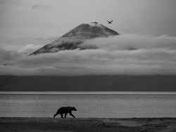 Foto Menakjubkan Kontes Foto Satwa Liar