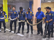 Geger Ular Sanca Batik 4 Meter Ngumpet di Bawah Ubin Rumah di Maros