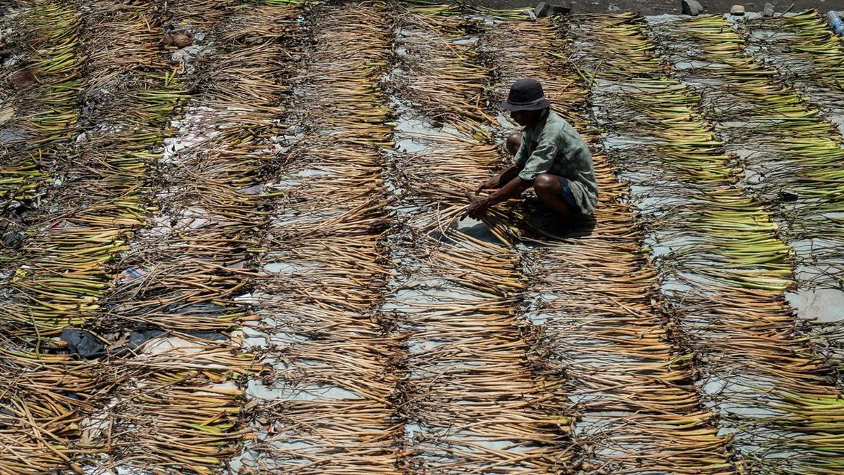 Anus fotosuratni korsatadi