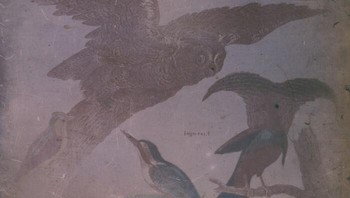 Foto ini, berjudul Empat Spesies Burung, adalah salah satu dari beberapa gambar yang masih ada, karya sosok misterius bernama Levi Hill pada awal tahun 1850-an. Hill mengklaim telah menemukan proses rahasia untuk menciptakan foto berwarna, sebuah terobosan yang mungkin mendahului foto berwarna pertama yang diakui secara resmi selama satu dekade. Setelah dituduh melakukan penipuan karena menolak mengungkapkan metodenya, ia menghilang tanpa jejak, meninggalkan hillotype aneh yang hingga kini belum dapat dibuktikan secara pasti sebagai inovasi asli atau tipuan cerdik yang diwarnai dengan tangan. Foto: Boredpanda