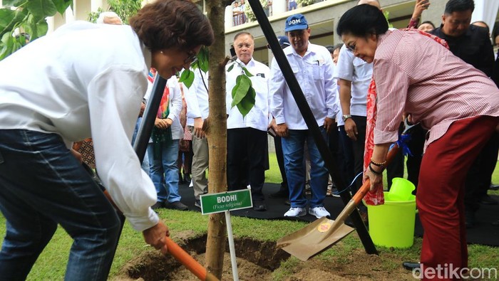 Megawati Soekarnoputri menanam pohon bodhi di UGM, Rabu (1/10/2025).