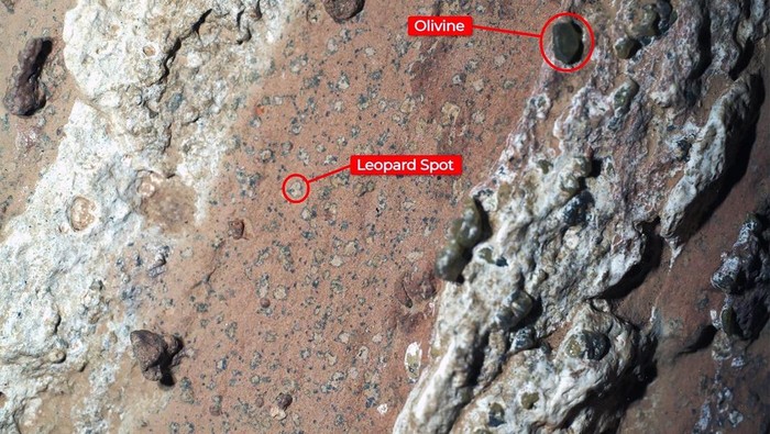 Penjelajah Perseverance milik NASA menemukan bintik-bintik macan tutul pada batu kemerahan yang dijuluki Air Terjun Cheyava di Kawah Jezero Mars pada Juli 2024.