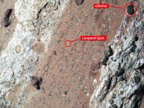 NASA Temukan Bukti Baru di Mars, Benarkah Ada Potensi Kehidupan?