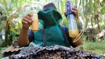 Peternak Aceh Barat Raup Untung dari Panen Madu Kelulut