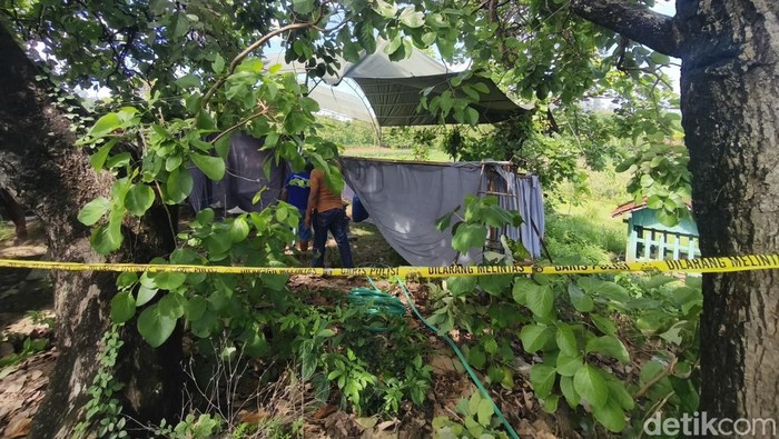 Petugas melaksanakan proses ekshumasi makam warga bernama Alif di Grobogan.