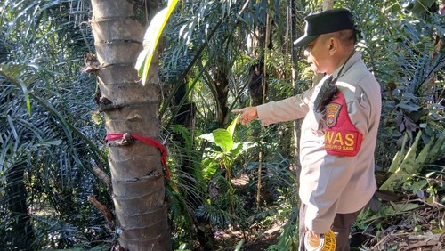 Polisi melakukan olah TKP kasus pria tewas gantung diri di Gunungsari, Lombok Barat, NTB, Rabu (1/10/2025). (Foto: Dok. Polresta Mataram)