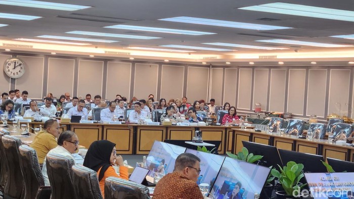 Rapat Dengar Pendapat (RDP) Komisi XIII DPR (Adrial Akbar/detikcom)