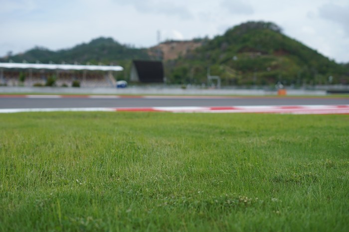 Rumput Hijau di Sirkuit Mandalika