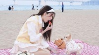 Di Busan wanita itu juga sempat piknik di pantai Gwangalli. Sabrina bersantai bersama anjingnya sambil menikmati camilan buah stroberi segar. Foto: Instagram @sabrinachairunnisa_