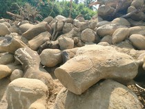 Heboh Temuan Bebatuan Aneh Diduga Artefak di Polman, Struktur Mirip Dolmen