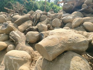 Heboh Temuan Bebatuan Aneh Diduga Artefak di Polman, Struktur Mirip Dolmen