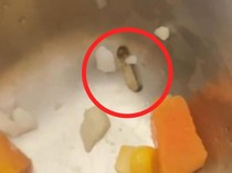 SPPG Nilai Temuan Ulat di Menu Sayur MBG Siswa MAN 3 Makassar Masih Wajar