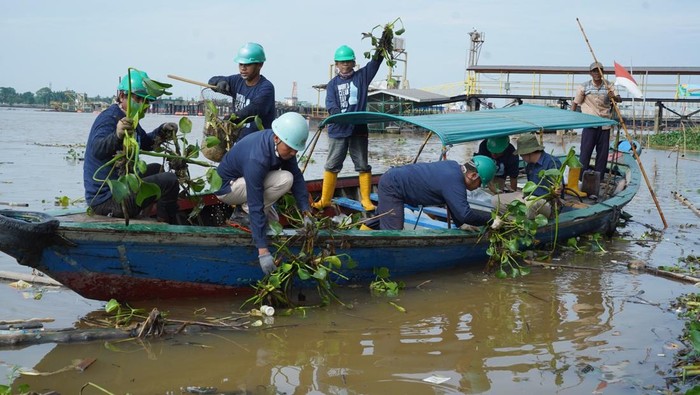 Aksi bersih sungai dan dermaga yang dilakukan Pusri Palembang