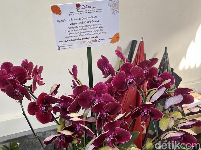 Anies Baswedan dan istri mengirim bunga anggrek untuk ulang tahun Iriana Jokowi di Solo, Kamis (2/10/2025).