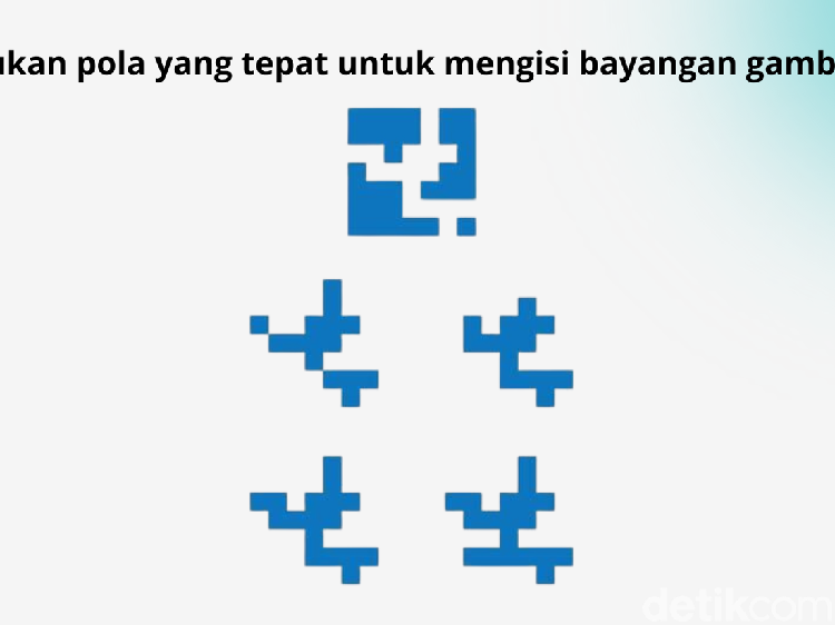 Ngaku Punya Mata Setajam Elang? Coba Temukan Dulu Pola yang Tepat di Gambar Ini