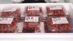 Asty Ananta Kini Jadi Pengusaha Tomat Cherry Sukses, Begini Potretnya!