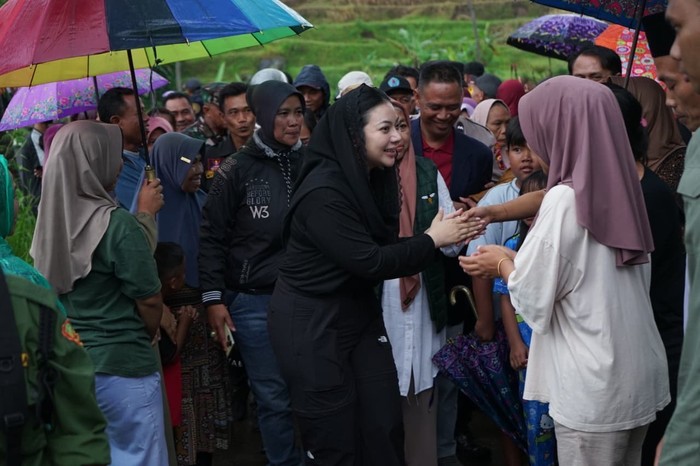 Bupati Brebes, Paramitha Widya Kusuma