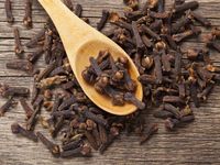 BNN Sumbar Bongkar Peredaran 100 Paket Ganja di Agam, 3 Orang Diamankan