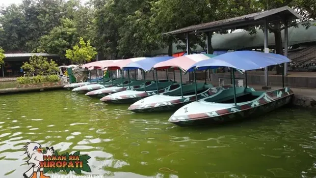 Daya Tarik dan Aktivitas di Taman Ria Suropati Pasuruan