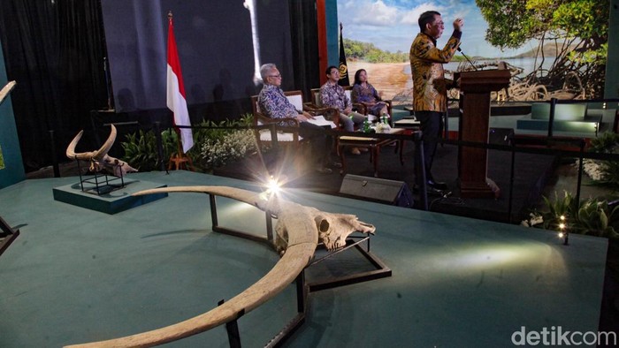 Menbud Fadli Zon menyampaikan pengembalian fosil prasejarah koleksi Eugene Dubois di Museum Nasional Indonesia, Jakarta, Kamis (2/10/2025). Fosil ini mencakup Homo erectus atau Java Man. Koleksi ini selama lebih dari satu abad tersimpan di Belanda sejak dibawa pada masa kolonial.