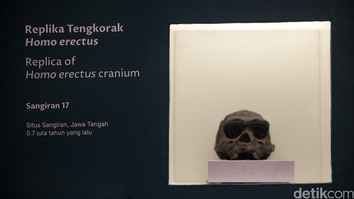 Menbud Fadli Zon menyampaikan pengembalian fosil prasejarah koleksi Eugene Dubois di Museum Nasional Indonesia, Jakarta, Kamis (2/10/2025). Fosil ini mencakup Homo erectus atau Java Man. Koleksi ini selama lebih dari satu abad tersimpan di Belanda sejak dibawa pada masa kolonial.