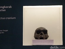 Catatan Raden Saleh Jadi Bukti Temuan Java Man di Trinil