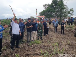 Herman Deru Target Sumsel Produksi 5 Juta Ton Gabah pada 2026