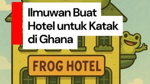 Video: Di Ghana Ada Hotel untuk Katak